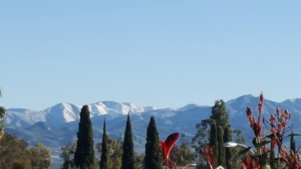 View from the backyard - 23662 Verona