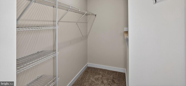 Building Photo - 2542 -A Verona Pl