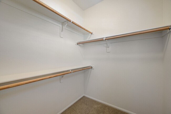 Building Photo - Beautiful DR Horton Home in Centennial Hil...
