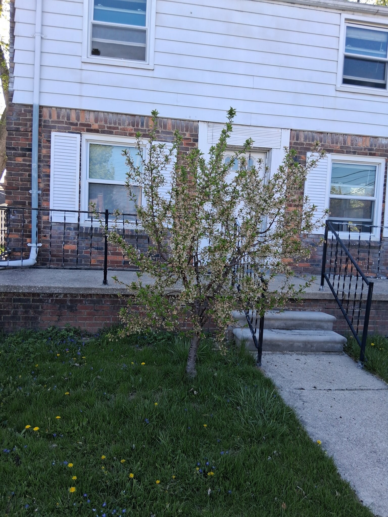 Building Photo - 4819 Woodworth St