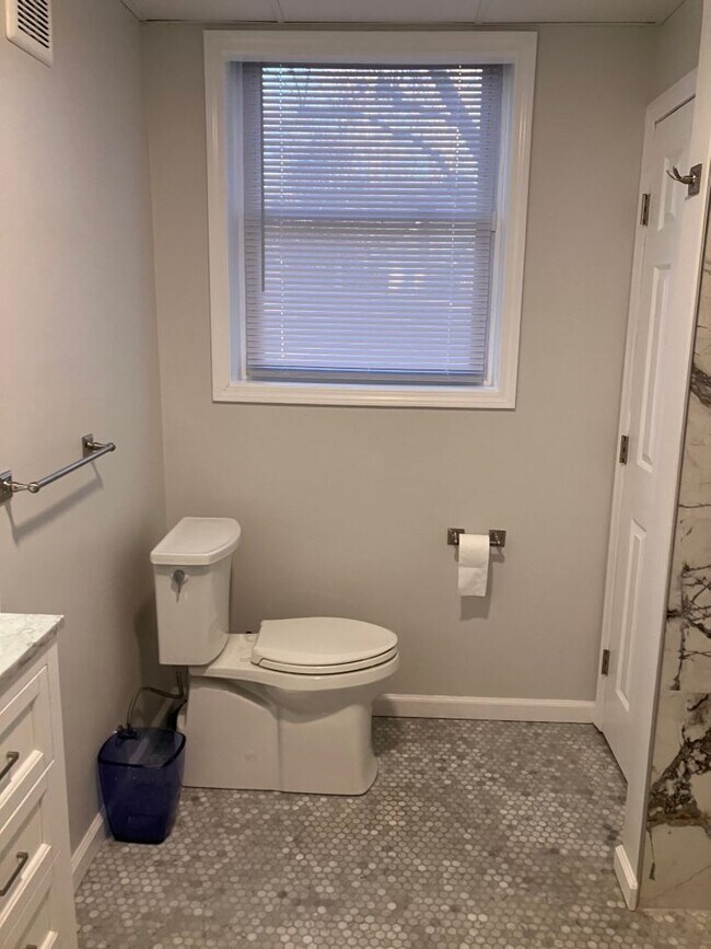 Building Photo - Lower Level Apartment in Beautiful Brentwo...