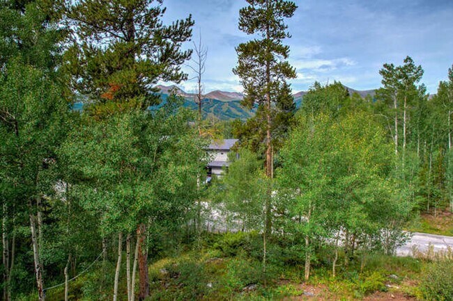 Building Photo - Winter Rental