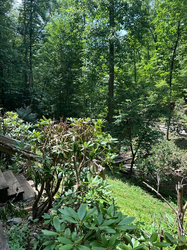 Building Photo - 466 Old Camptown Dr