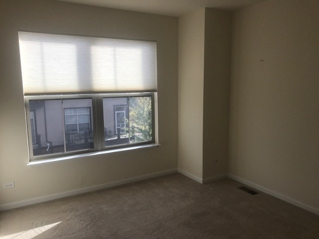 Building Photo - 409 Alpine Springs Dr