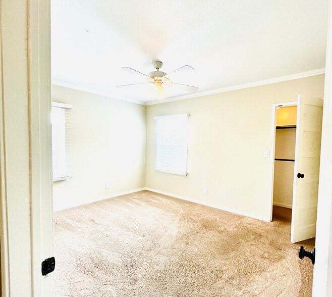 Bedroom 2 - 67 Windsor Ln