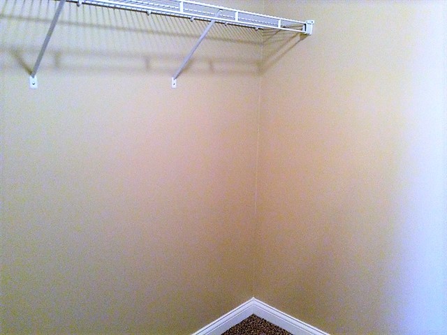 Building Photo - 1009 Palomino Pl