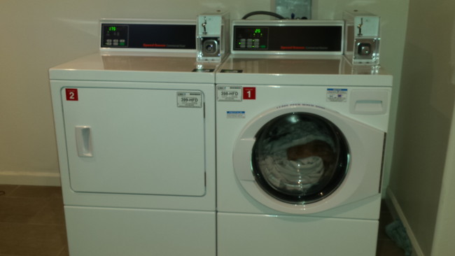 Dryer and Washer - 254 Abbot Ave