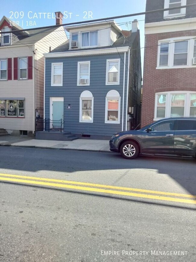 Primary Photo - 209 Cattell St