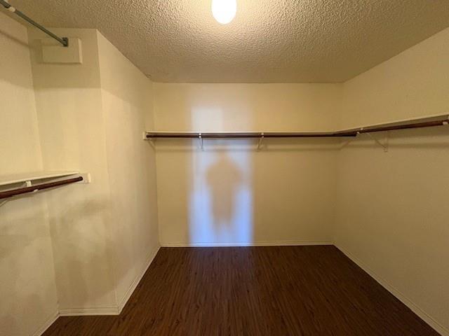 Building Photo - 2923 Barberini Dr