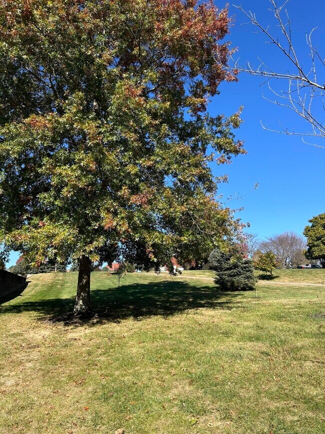 Building Photo - 409 Lawson Dr