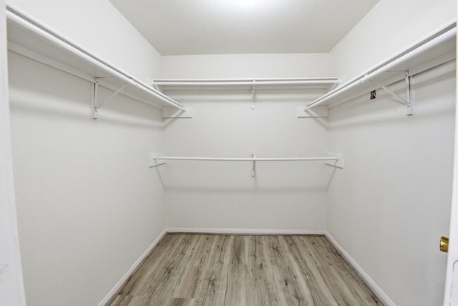 Building Photo - 3562 St William Ln