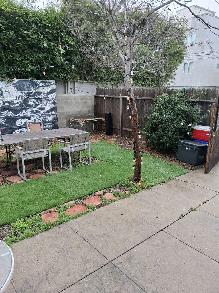 BACK YARD - 49 Dudley Ave