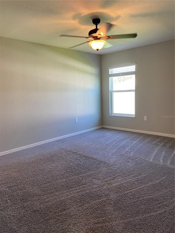 Building Photo - 217 Cascara Ln