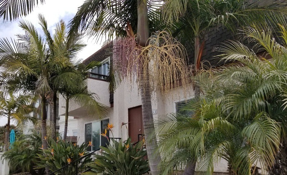 Building Photo - 314 20th St