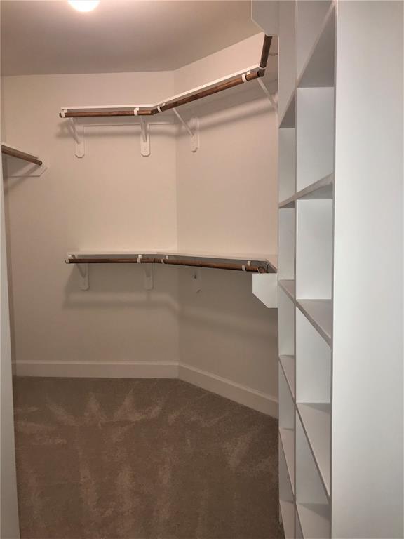 Building Photo - 11519 Main Cypress Dr