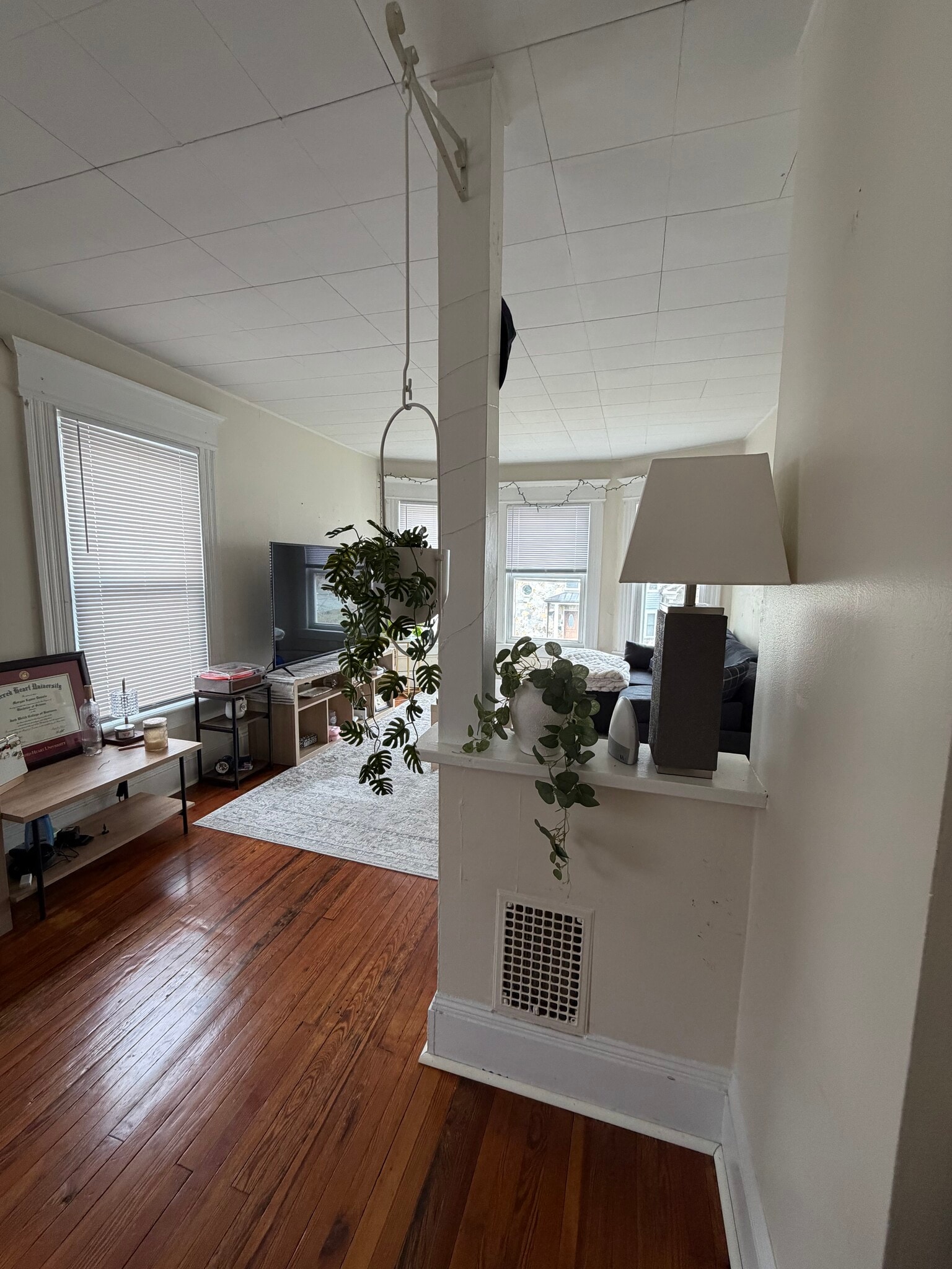 Living Room - 45 Nichols Ave