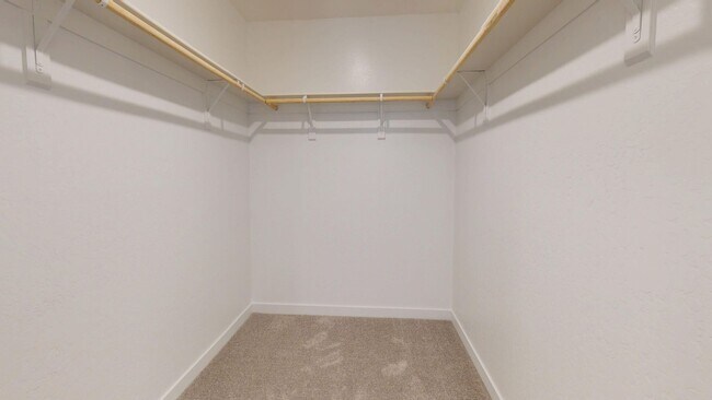 Building Photo - 3231 Carambola Ave