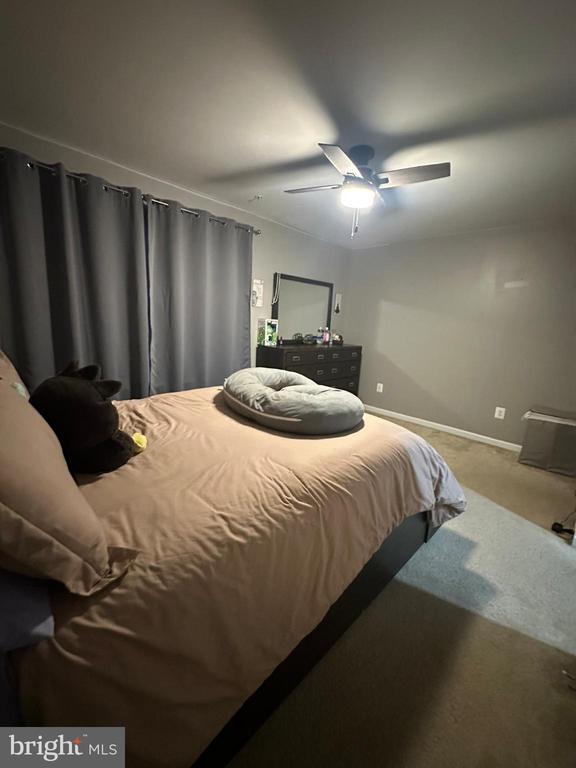 Building Photo - 23171 Ambrosia Ln