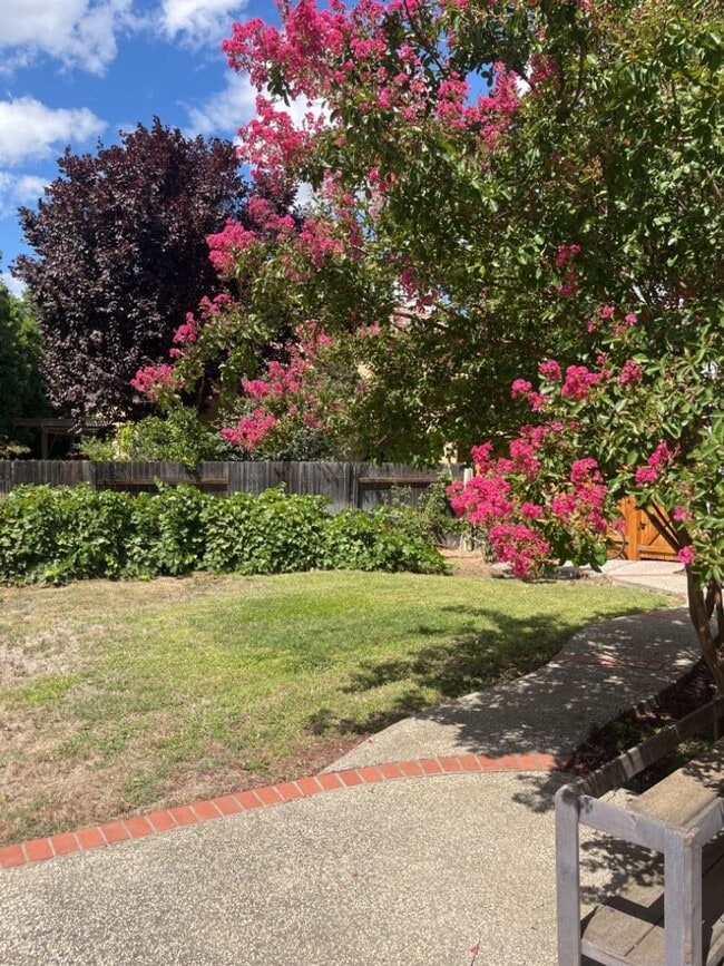 Building Photo - Great 4 bedroom East Davis home with large backyard