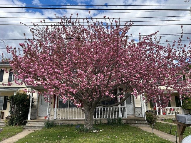 Primary Photo - DOVER - COURTNEY SQUARE