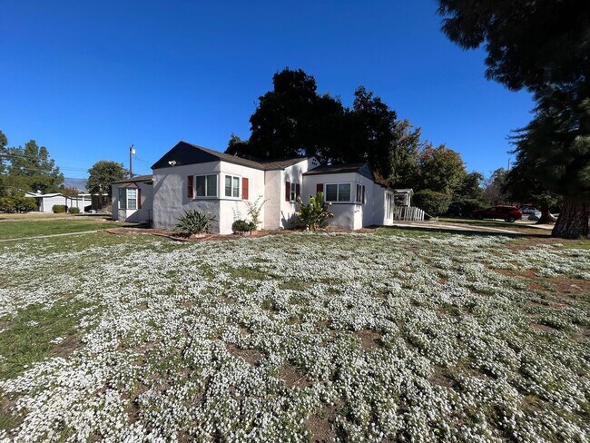 Building Photo - 1004 Occidental Dr