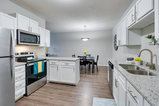 Renovated Kitchen Featuring Vinyl Wood-Style Flooring - France 98