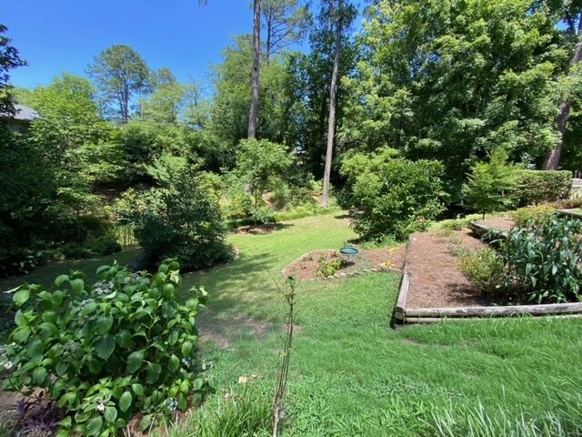 Apt. View of Front Yard I - 862 Forest Ridge Dr W