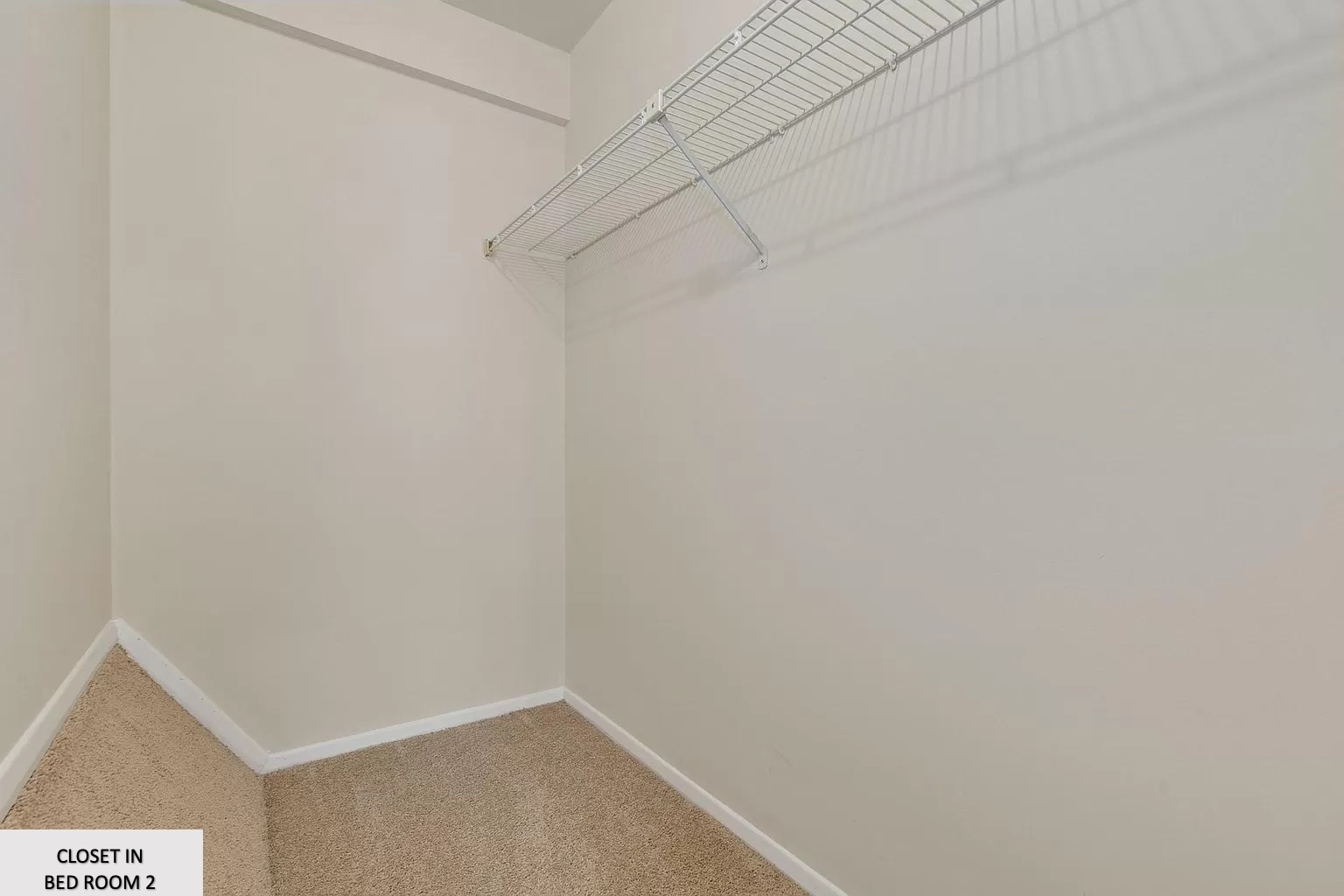 Building Photo - 4835 Berwyn House Rd