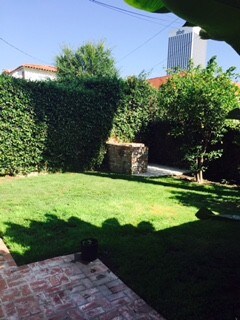 back yard - 905 S Curson Ave