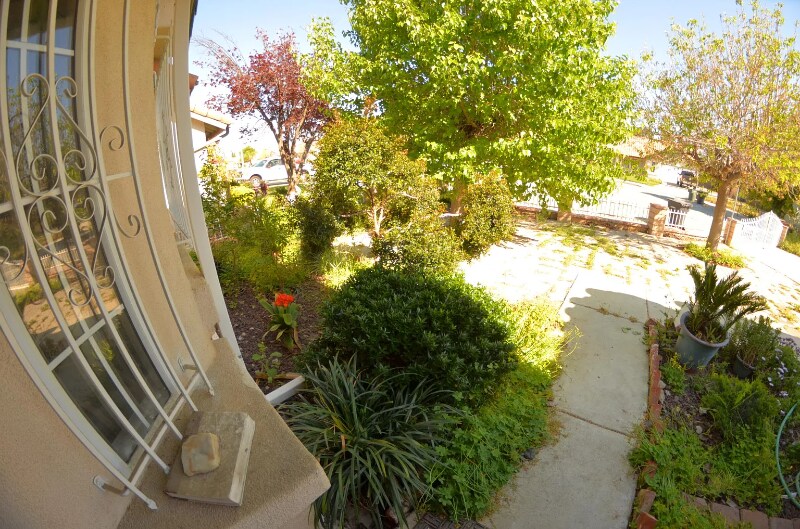 Building Photo - 1106 Don Carlos Ct