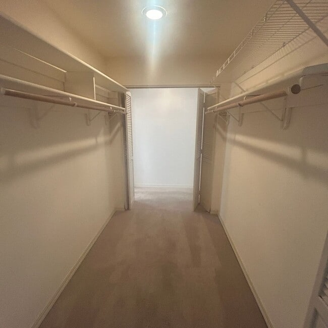 Building Photo - Beautiful Lake Wildwood Home with private back yard.