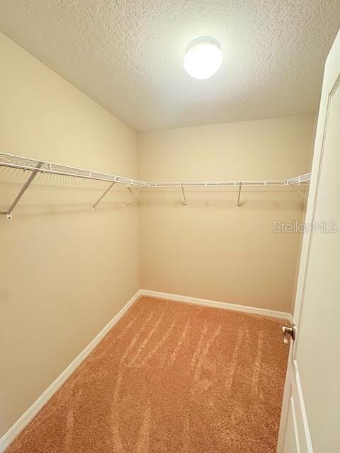 Building Photo - 9 Lewis Pl