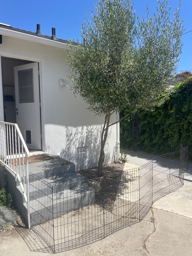 Building Photo - 521 Arcade Dr