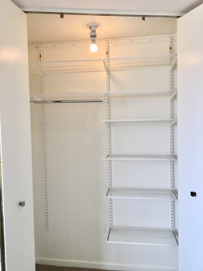 Multiple Closets all with Organizers - 3930 N Pine Grove Ave