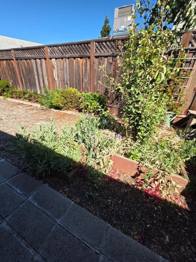 Building Photo - Delightful Single Story 2/2 with Expanded Bath and Beautiful Gardens