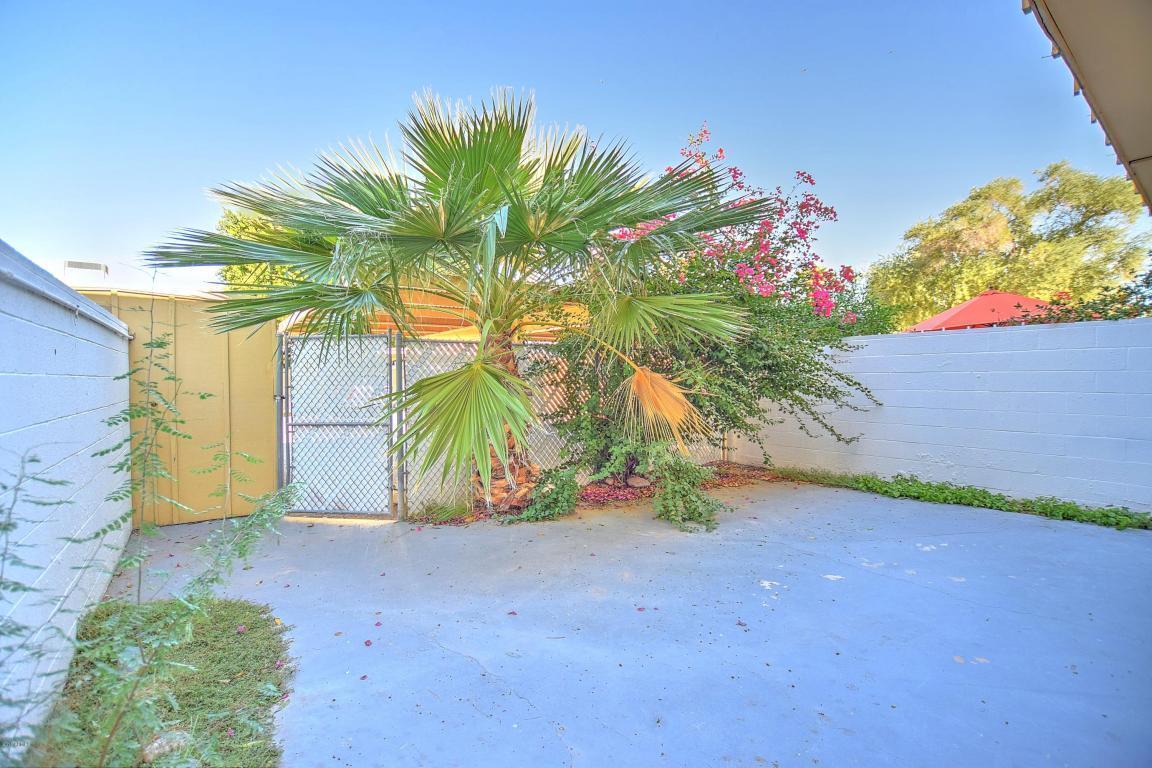 Building Photo - 8344 E Chaparral Rd