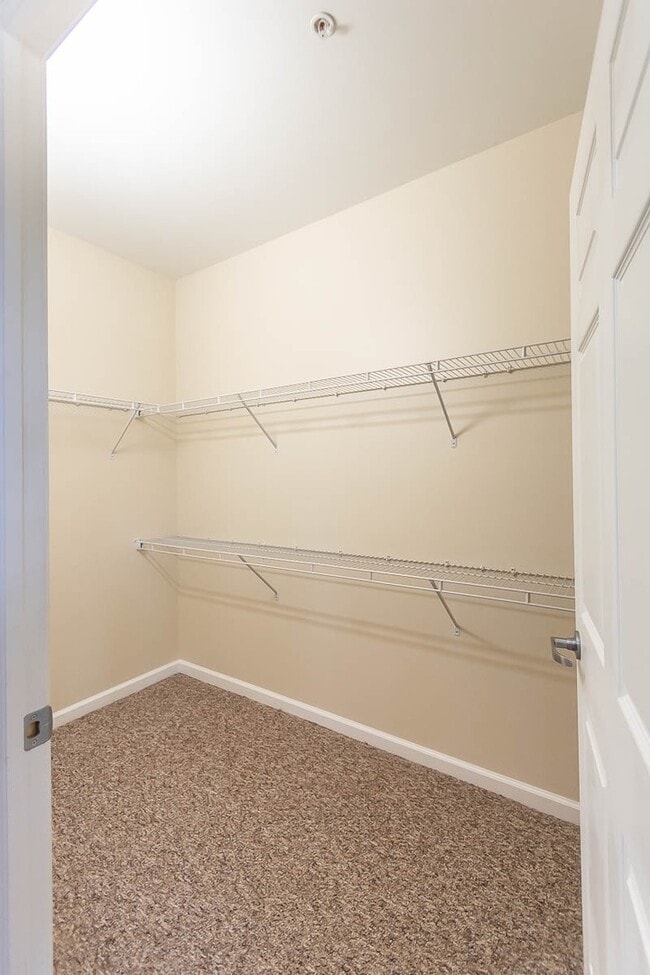 Interior Photo - EBI