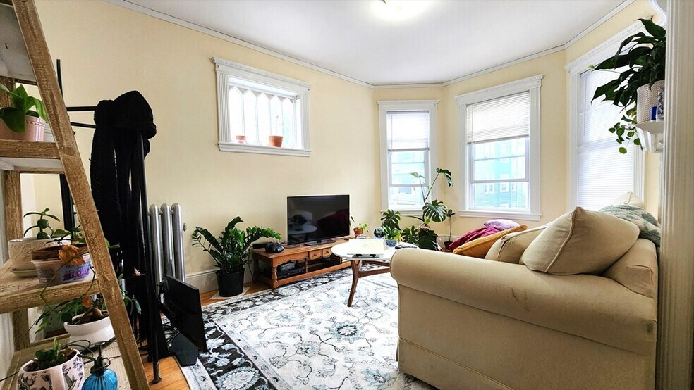 Primary Photo - 6 Newton St
