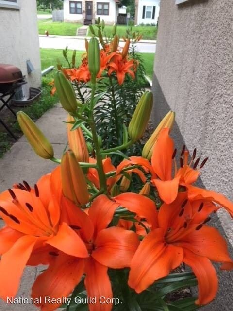 Building Photo - 2 br, 1 bath House - 5455 28th ave s