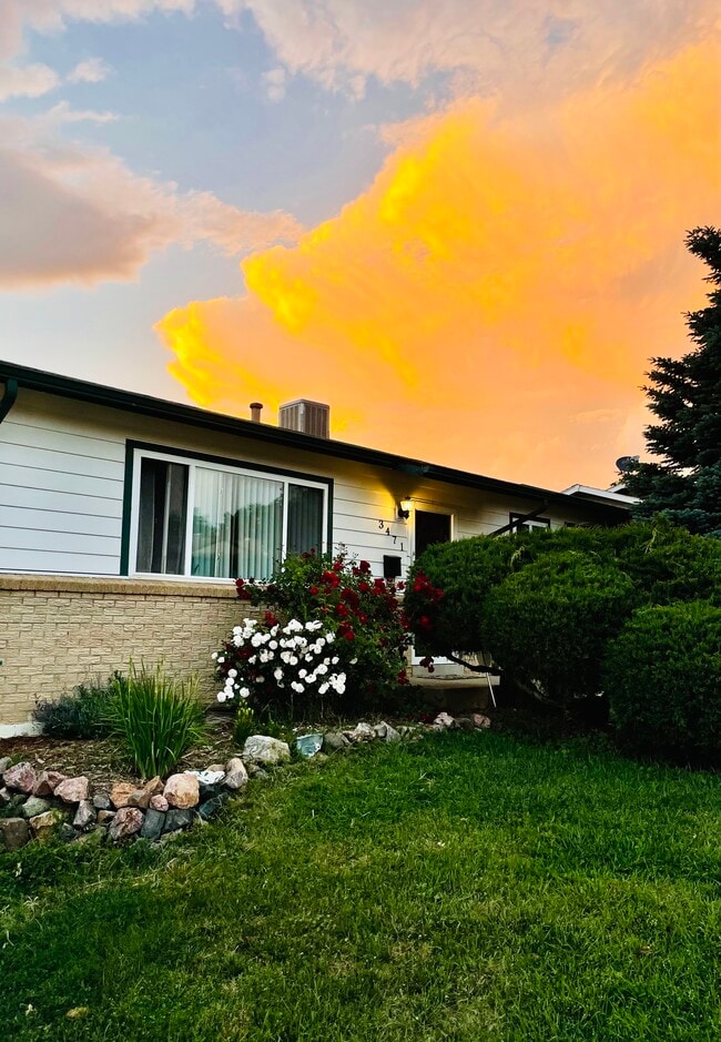 Building Photo - 3471 Kellogg Pl