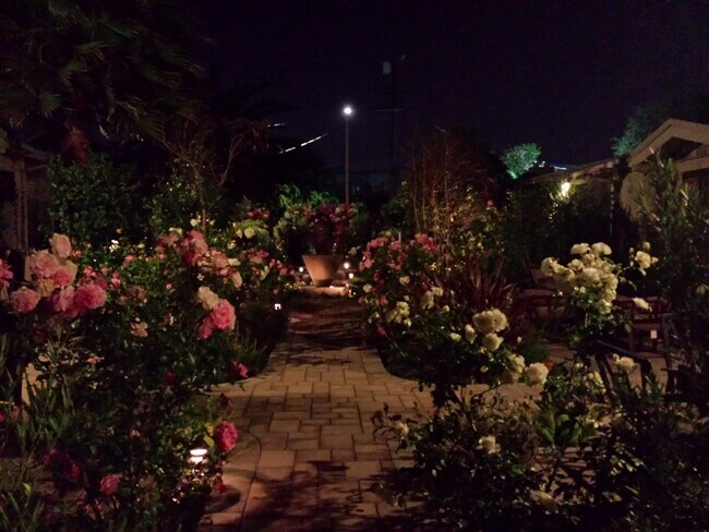 Building Photo - 4340 Normal Ave