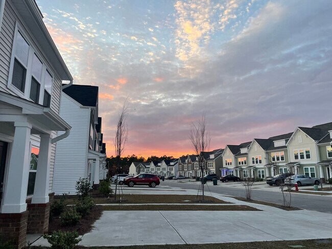 Building Photo - MOVE IN SPECIAL!!! Fabulous New Townhouse in Columbia SC!