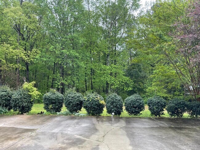 Rear Exterior - 2635 Sleepy Hollow Rd