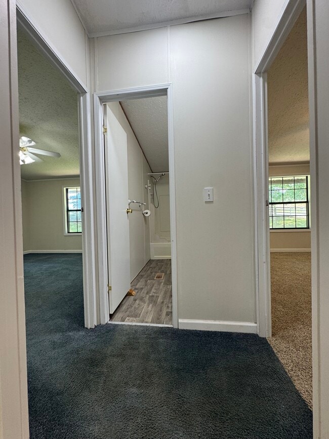 Building Photo - 12372 FM 1650
