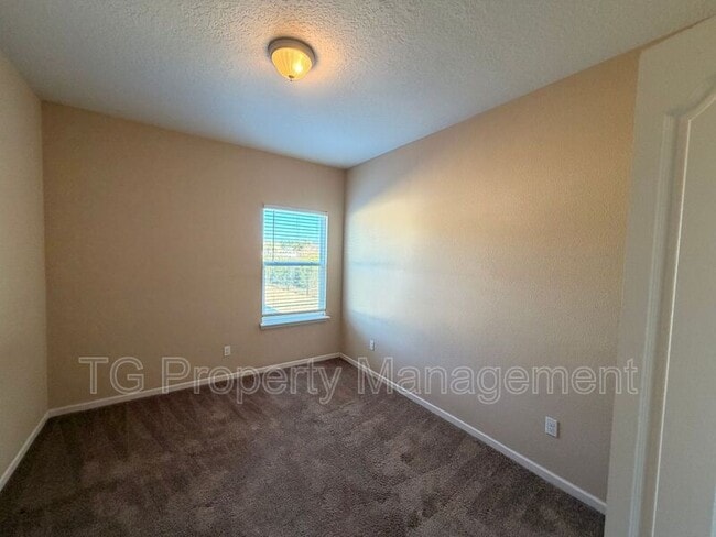 Building Photo - 247 Shetland Dr