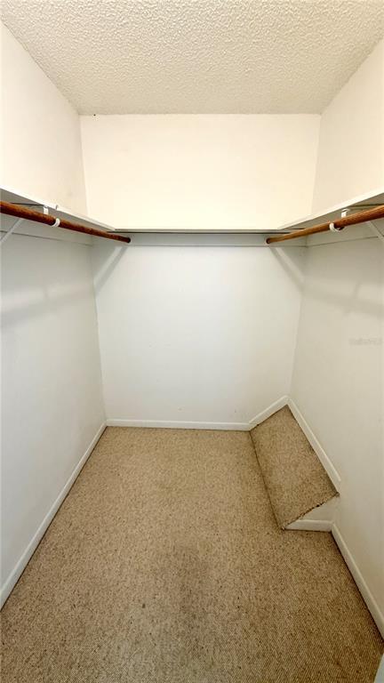 Building Photo - 5561 Slash Pine Ct