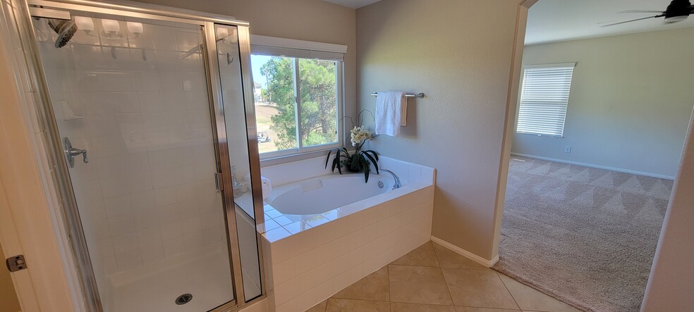 Primary bathroom - 31167 Sunningdale Dr