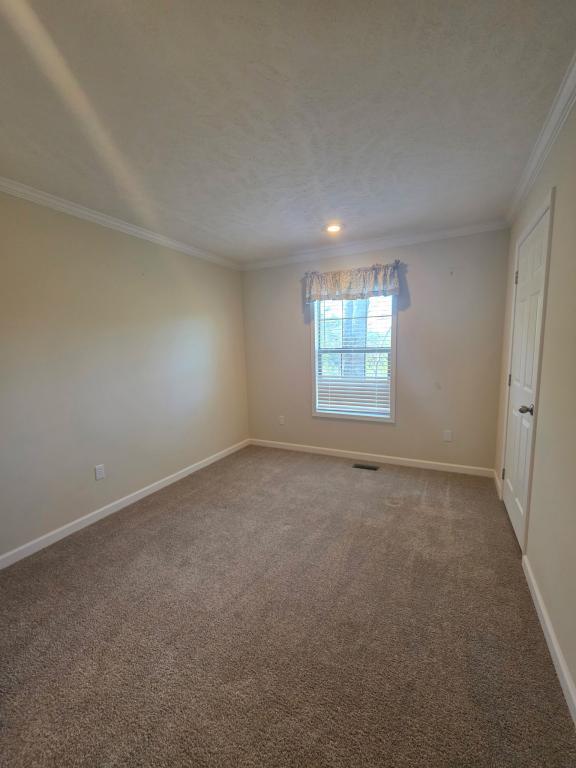Building Photo - 107 Huckleberry Knob Ln