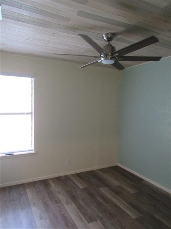 Building Photo - 1603 Shotwell Ln