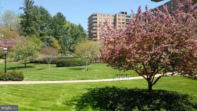 Building Photo - 4201 Cathedral Ave NW